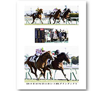 四切アルミ額付