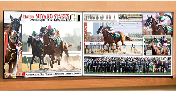 CGフォトレザー