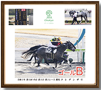 四切アルミ額付