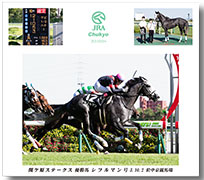 四切アルミ額付