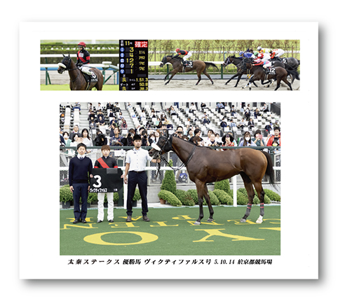 四切組写真台紙付き
