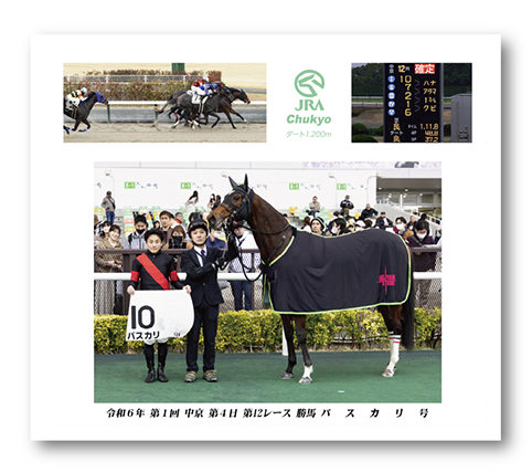 四切組写真台紙付き
