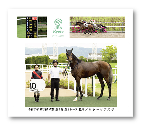四切組写真台紙付き