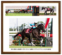 四切アルミ額付