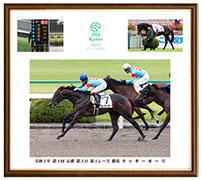 四切アルミ額付