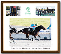 四切アルミ額付