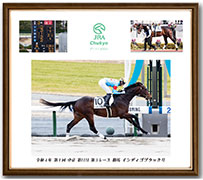 四切アルミ額付