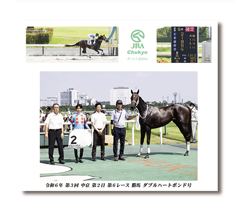 中判組写真