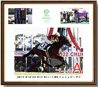 四切アルミ額付