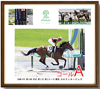 四切アルミ額付