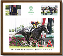 四切アルミ額付