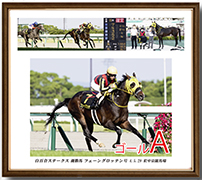 四切アルミ額付