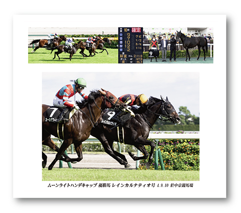 四切組写真台紙付き