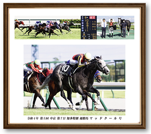 四切組写真木製額付