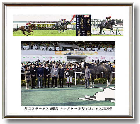 四切組写真台紙付き