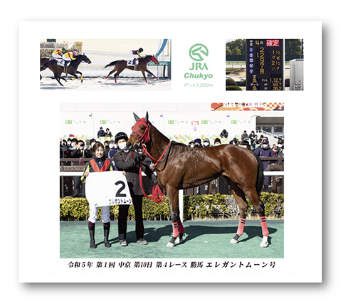 四切組写真台紙付き