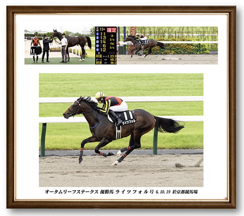 四切組写真アルミ額付