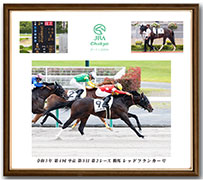 四切アルミ額付