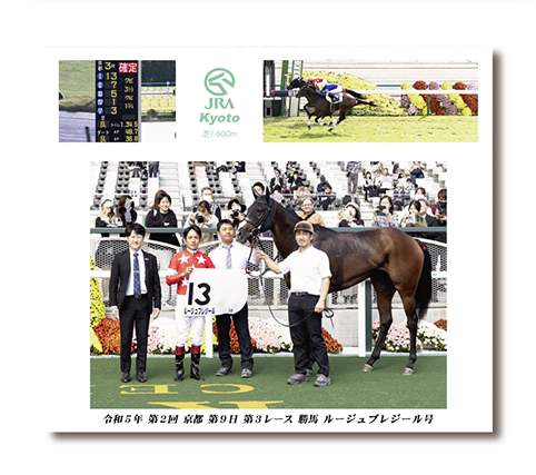 中判組写真